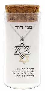 Picture of Silver Magen David Pendant Necklace Black Accent